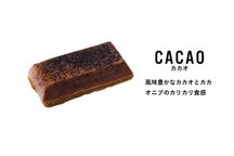 OIMO 生スイートポテト 定番10個ボックス 【生スイートポテト専門店OIMO 】  6