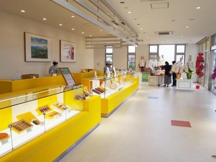 唐芋菓子専門店 フェスティバロの店舗画像