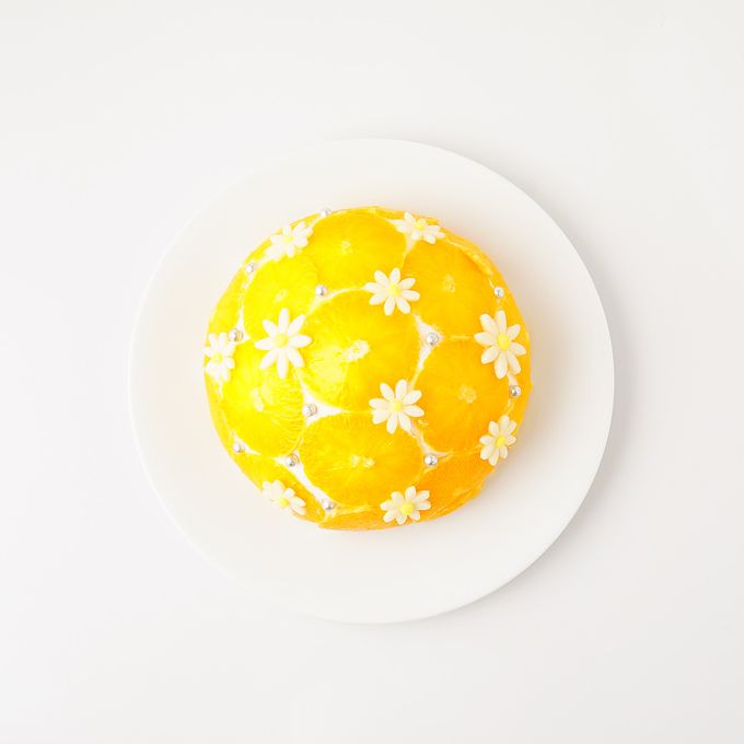 まるごとオレンジのズコットケ－キ 5号 3