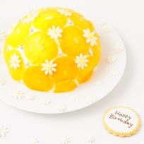 まるごとオレンジのズコットケ－キ 5号