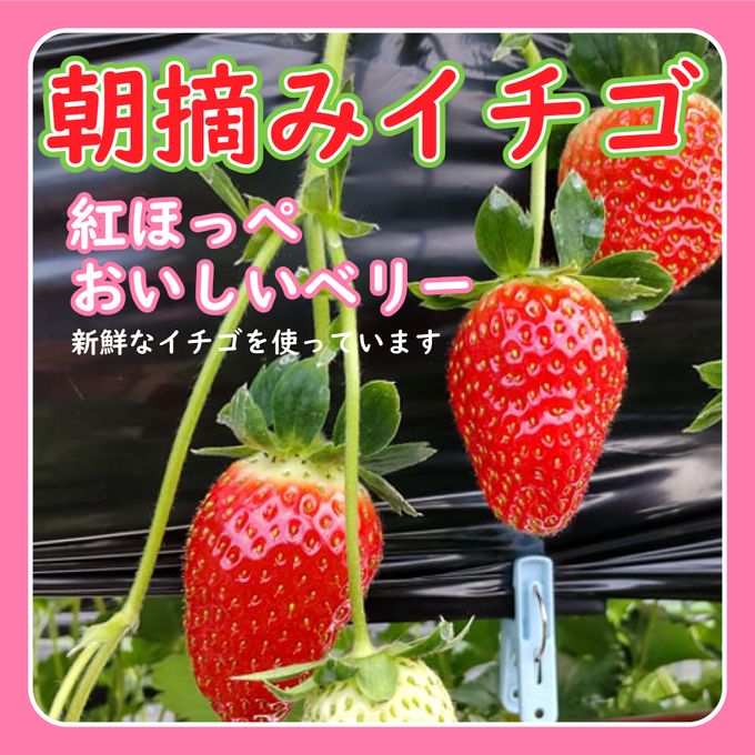 【店頭受取】いちごデコレーションスペシャル 6