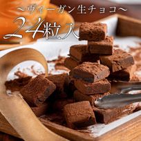 ヴィーガン生チョコ(アレルゲン28品目フリー)  1箱(24粒入り) 