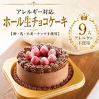 【卵・乳製品・小麦・ナッツ類不使用】チョコケーキホール5号 1