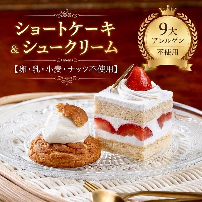 ヴィーガンショートケーキ&シュークリーム《ヴィーガンスイーツ》 1