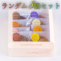 ヴィーガン絞り出しクッキー8種セット
