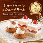 ヴィーガンショートケーキ2コ&シュークリーム2コのアソートセット《ヴィーガンスイーツ》 1