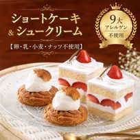 ヴィーガンショートケーキ2コ&シュークリーム2コのアソートセット《ヴィーガンスイーツ》