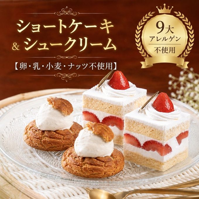 ヴィーガンショートケーキ2コ&シュークリーム2コのアソートセット《ヴィーガンスイーツ》 1