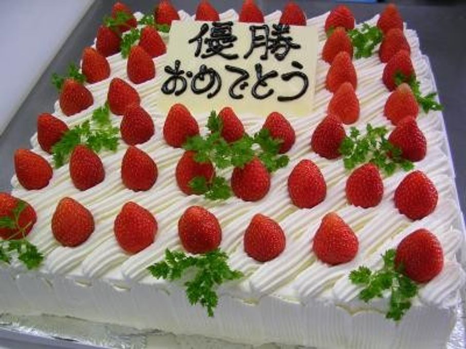 パーティー用大型ケーキ スクウェア 30×30cm 1