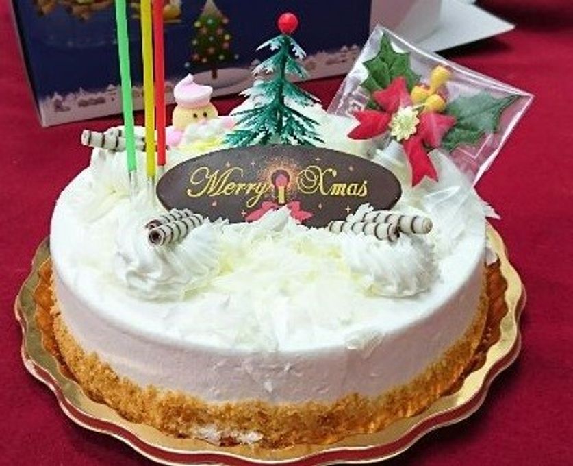 レアチーズケーキ5号  1