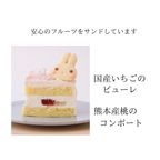 天然色素・国産小麦粉と安心材料☆季節のうさくまケーキ☆ばらの庭☆ 4号 12cm  7