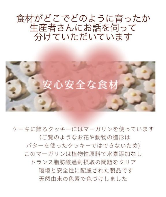 国産小麦粉と安心材料＊うさぎのおひなさまケーキ 4号 12cm 10