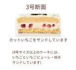 国産小麦粉と安心材料☆シンプルファーストケーキ3号 3