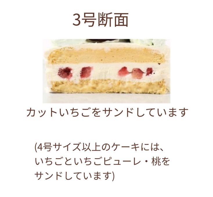 国産小麦粉と安心材料☆シンプルファーストケーキ3号 3