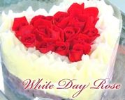 アイスケーキ ホワイトデーローズ エディブルフラワー食用花 バラ 10cm 母の日2024 5