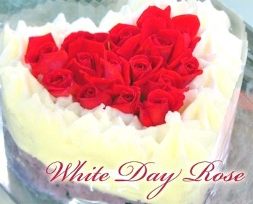 アイスケーキ ホワイトデーローズ エディブルフラワー食用花 バラ 12cm  5