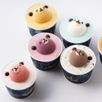 ダルチアーノ カップアイスケーキ 虹色こぐま 6個セット お中元2025 7