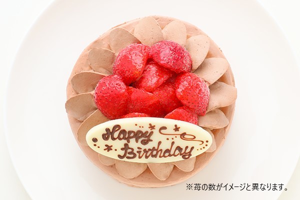 【訳あり・アウトレット】イチゴ生チョコデコレーションケーキ 4号 12cm 3