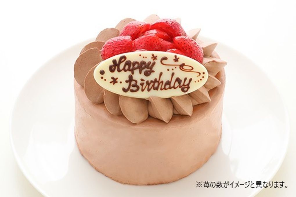【訳あり・アウトレット】イチゴ生チョコデコレーションケーキ 4号 12cm 2