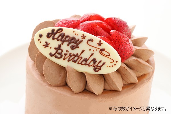 【訳あり・アウトレット】イチゴ生チョコデコレーションケーキ 4号 12cm 5