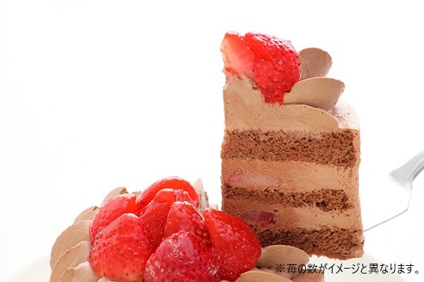 【訳あり・アウトレット】イチゴ生チョコデコレーションケーキ 4号 12cm 4