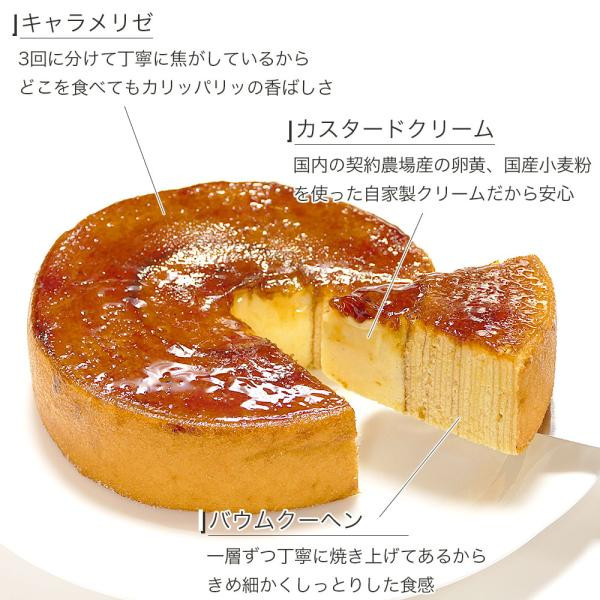 pudding 様専用ページ 超歓迎された - ぬいぐるみ