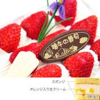 こいのぼりデコレーション 19×12cm koinobori こどもの日2026 5