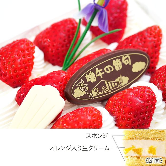 こいのぼりデコレーション 19×12cm koinobori こどもの日2026 5