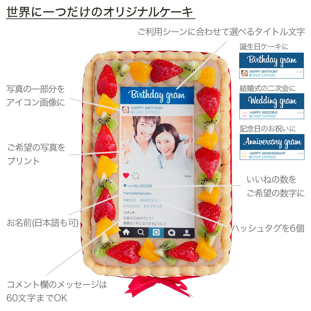 インスタ風写真ケーキ S ビスキュイ付フレッシュフルーツ乗せ生