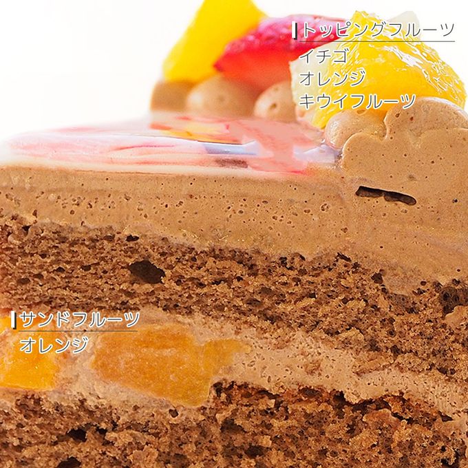 インスタ風写真ケーキ S ビスキュイ付フレッシュフルーツ乗せ生チョコクリームショートケーキ 22×14cm choco-birthdaygram 6