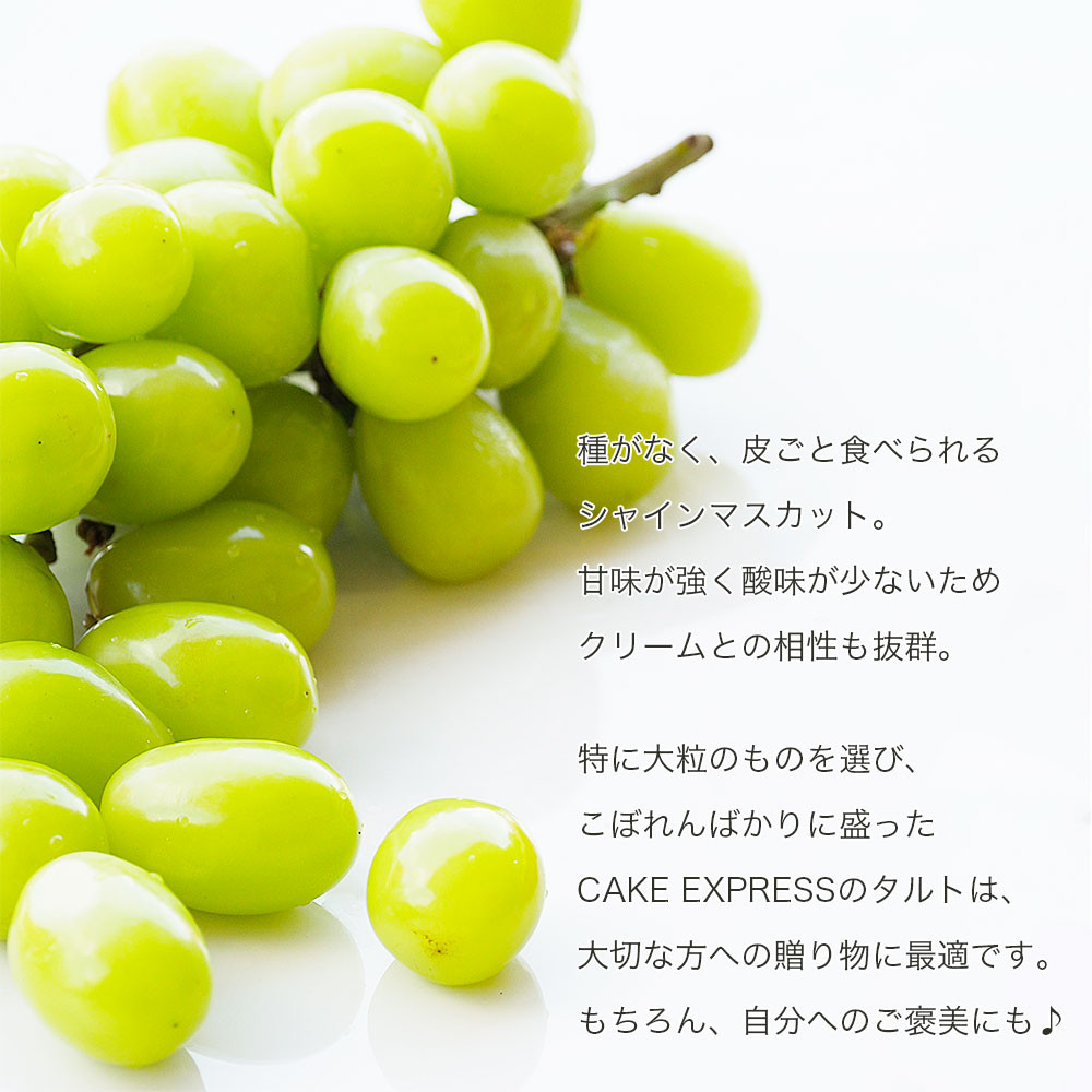 大粒シャインマスカットタルト 6号 18cm shine-muscat-tart-6