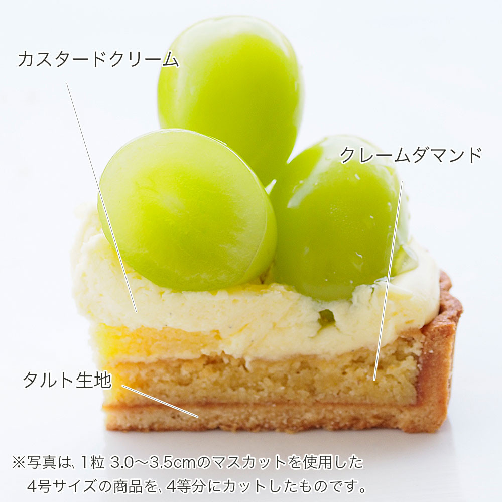 大粒シャインマスカットタルト 6号 18cm shine-muscat-tart-6（CAKE EXPRESS） | Cake.jp