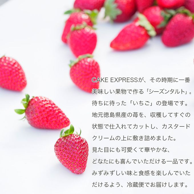 いちごタルト 4号 12cm strawberry-tart-4  4