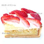 いちごタルト 4号 12cm strawberry-tart-4  7