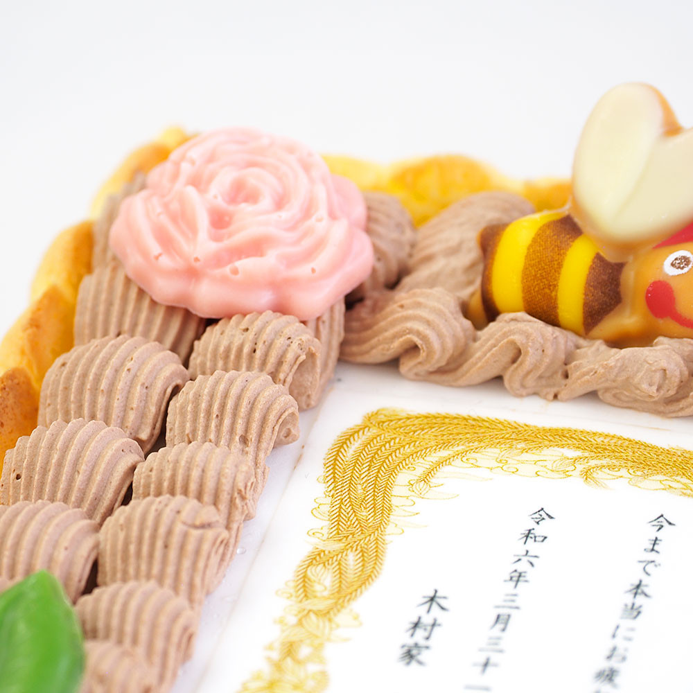 表彰状ケーキ メッセージプリント ビスキュイ付生クリームショートケーキ 22×14cm 6～8名様用 thanks-cake 6