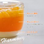 ゼリー3種詰め合わせ 6個入り jelly-assort-6 2