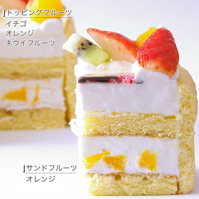 写真ケーキ スクエア型 ビスキュイ付フレッシュフルーツ乗せ生クリームショートケーキ 50×34cm square-14-p2 7