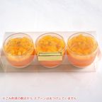 生絞りオレンジゼリー 3個入り orange-jelly-3 5