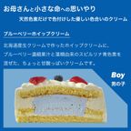 ジェンダーリビールケーキ 5号 15cm gender-reveal-5 4