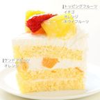 キャラデコパーティーケーキ 仮面ライダーリバイス 生クリームショートケーキ 5号 15cm 4～6名様用 cd-revice-cream 6