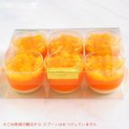 生絞りオレンジゼリー 6個入り orange-jelly-6 5