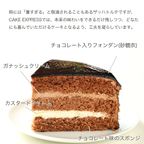 写真ケーキ ザッハトルテ チョコレートケーキ ラズベリーデコレーション 5号 15cm sachertorte-5-p2 7
