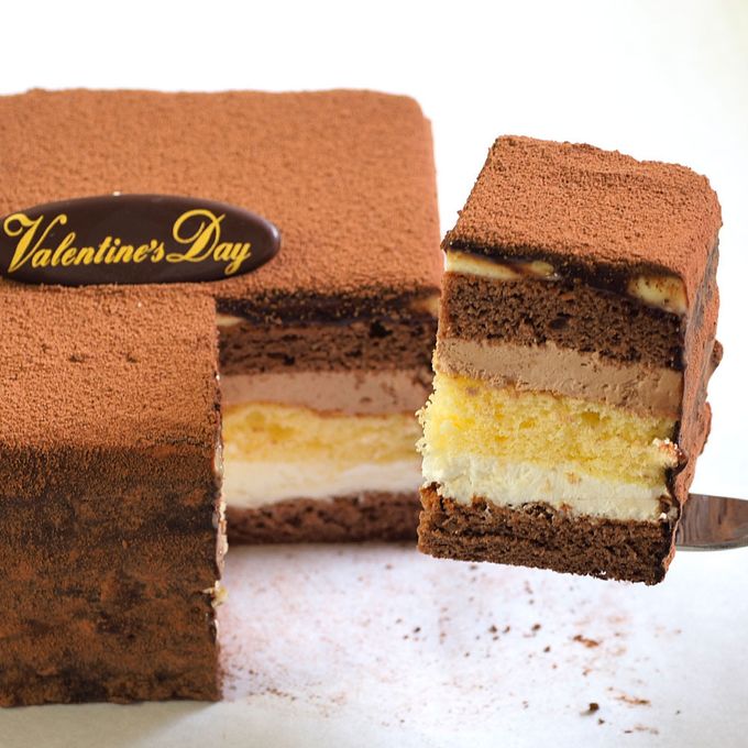 土柱ショコラ 4号 12×12cm dochu-4  7