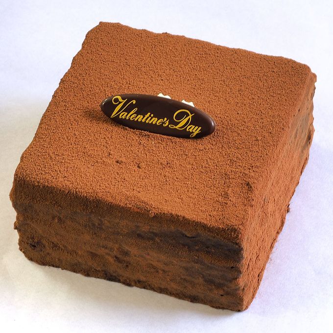 土柱ショコラ 4号 12×12cm dochu-4  2