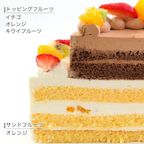 ダブルタワーショートケーキ ミニ 6号18cm＋4号12cm double-tower-mini 7