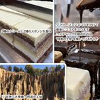 土柱ショコラ 4号 12×12cm dochu-4  6