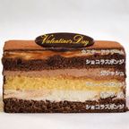 土柱ショコラ 4号 12×12cm dochu-4  5