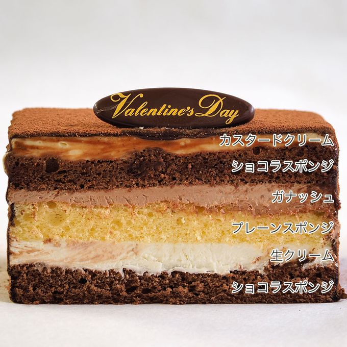 土柱ショコラ 4号 12×12cm dochu-4  5