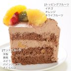 キャラデコパーティーケーキ ひろがるスカイ！プリキュア 生チョコクリームショートケーキ 5号 15cm cd-prec-23-choco 7