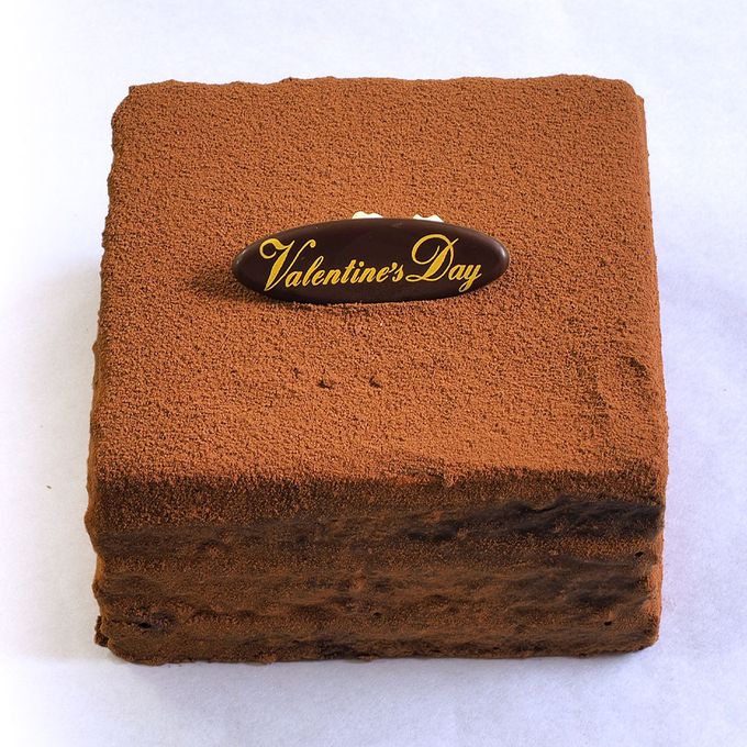 土柱ショコラ 4号 12×12cm dochu-4  3